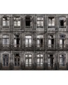 Papel Pintado NO 7 - Curious R14221 - REBEL WALLS