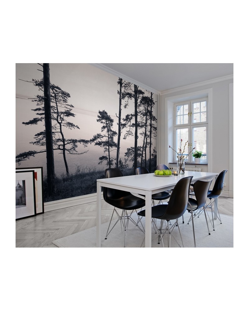 Papel Pintado R13021-8 OLD PINE TREES - REBEL WALLS
