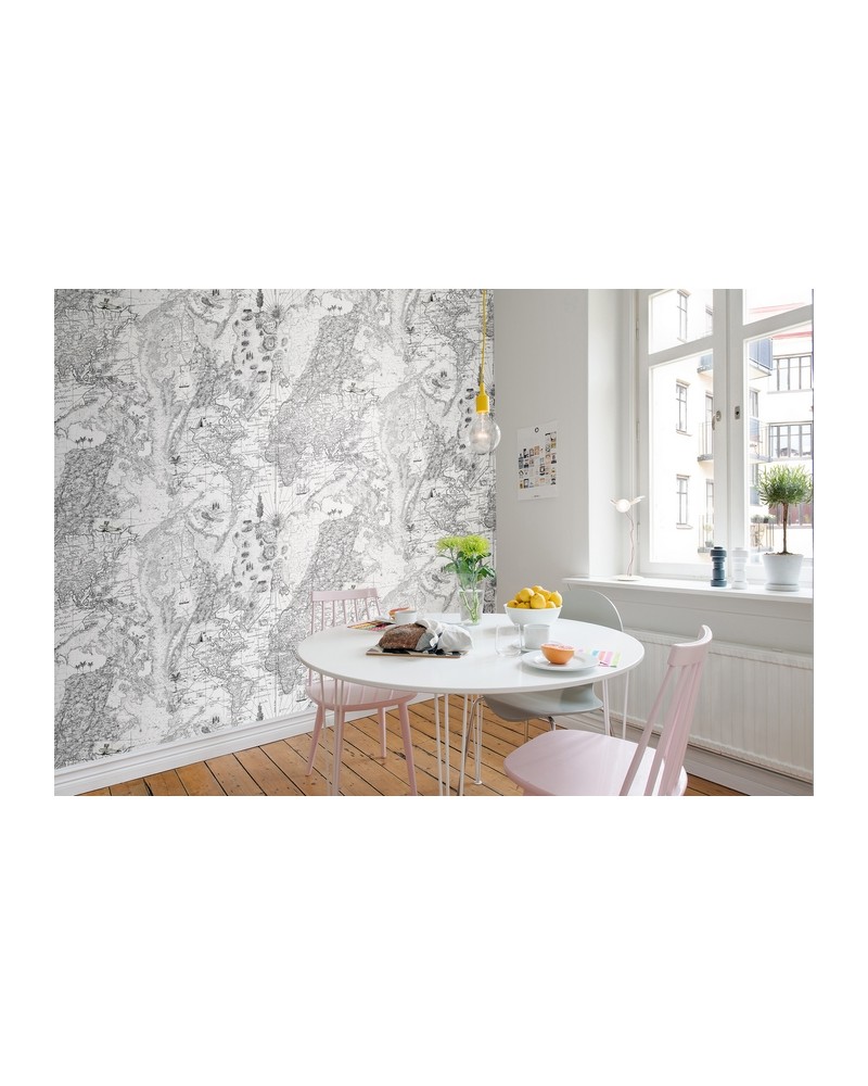 Papel Pintado NO 5 - Maps R13863 - REBEL WALLS