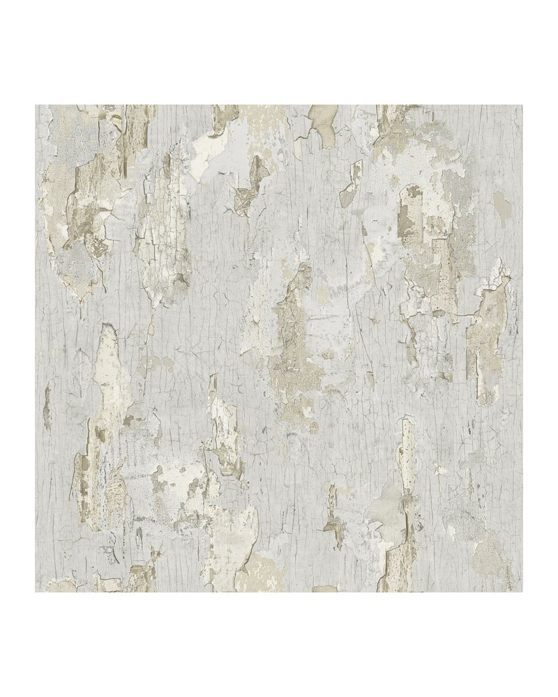 8888-75B PEINTURE-ECAILLEE-GRIS-BETON