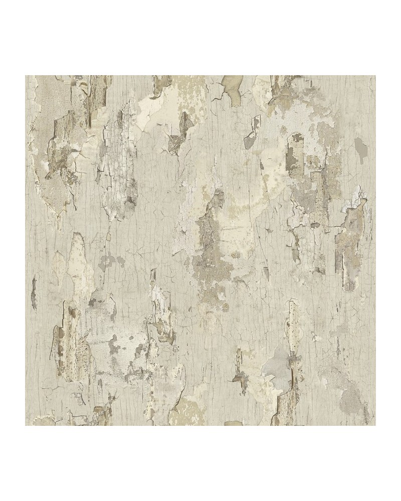 8888-75C PEINTURE-ECAILLEE-BEIGE-MASTIC