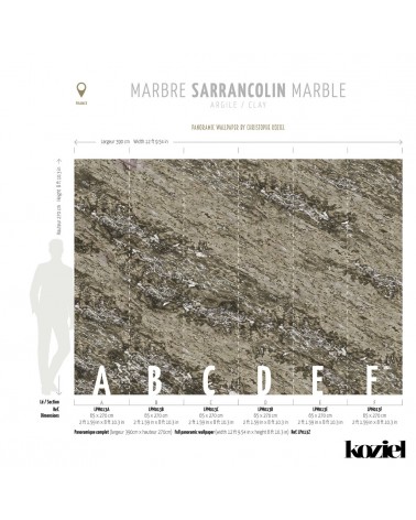 LPM013-X PANORAMIQUE-MARBRE-SARRANCOLIN-ARGILE