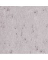 37505 STELLAR