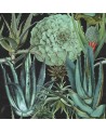 Papel Pintado SUCCULENTUS P20167 - MIND THE GAP