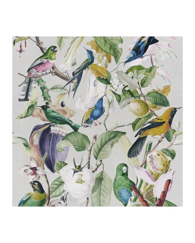 Papel Pintado TROPICAL BIRDS WP20172 - MIND THE GAP Papel Pintado TROPICAL BIRDS WP20172 - MIND THE GAP