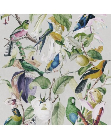 TROPICAL BIRDS WP20172