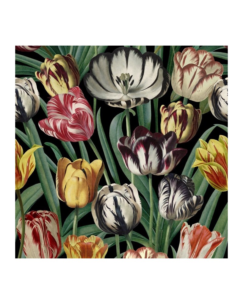 TULIPA WP20178