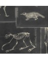 Papel Pintado ZOOARCHAEOLOGY Anthracite WP20237 - MIND THE GAP