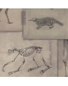 ZOOARCHAEOLOGY WP20236