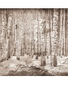 6500202 BROKEN FOREST SEPIA