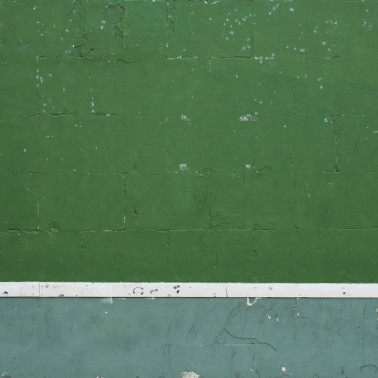 Papel Pintado 6500304 FRONTON WALL - COORDONNE
