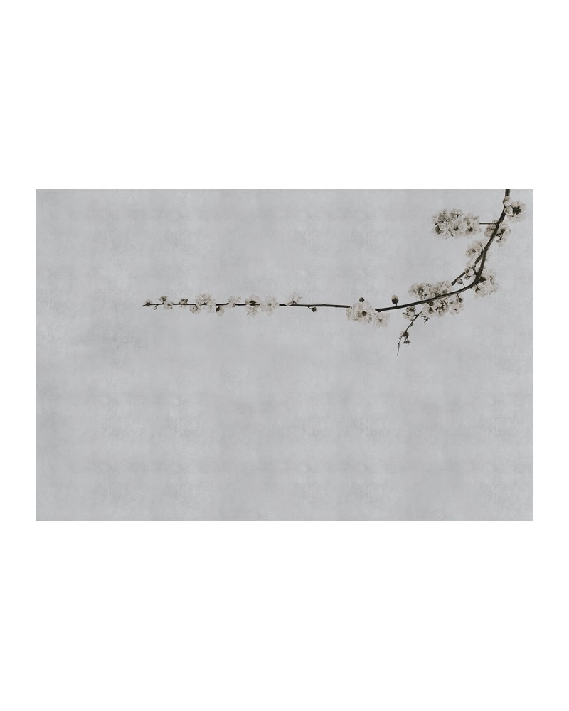 Papel Pintado 6500307 BLOSSOM BRANCH GREY - COORDONNE