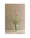 Papel Pintado CFW7179-03 SANDRINE Biscuit - COLEFAX AND FOWLER