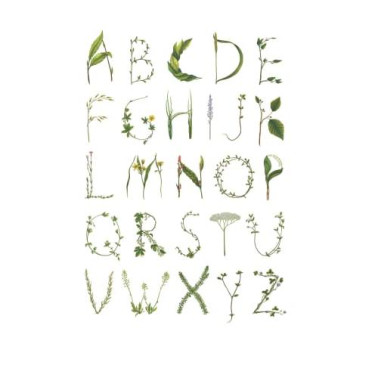 Papel Pintado R13191-4 ABC FOR THE SPELLING BEE - REBEL WALLS