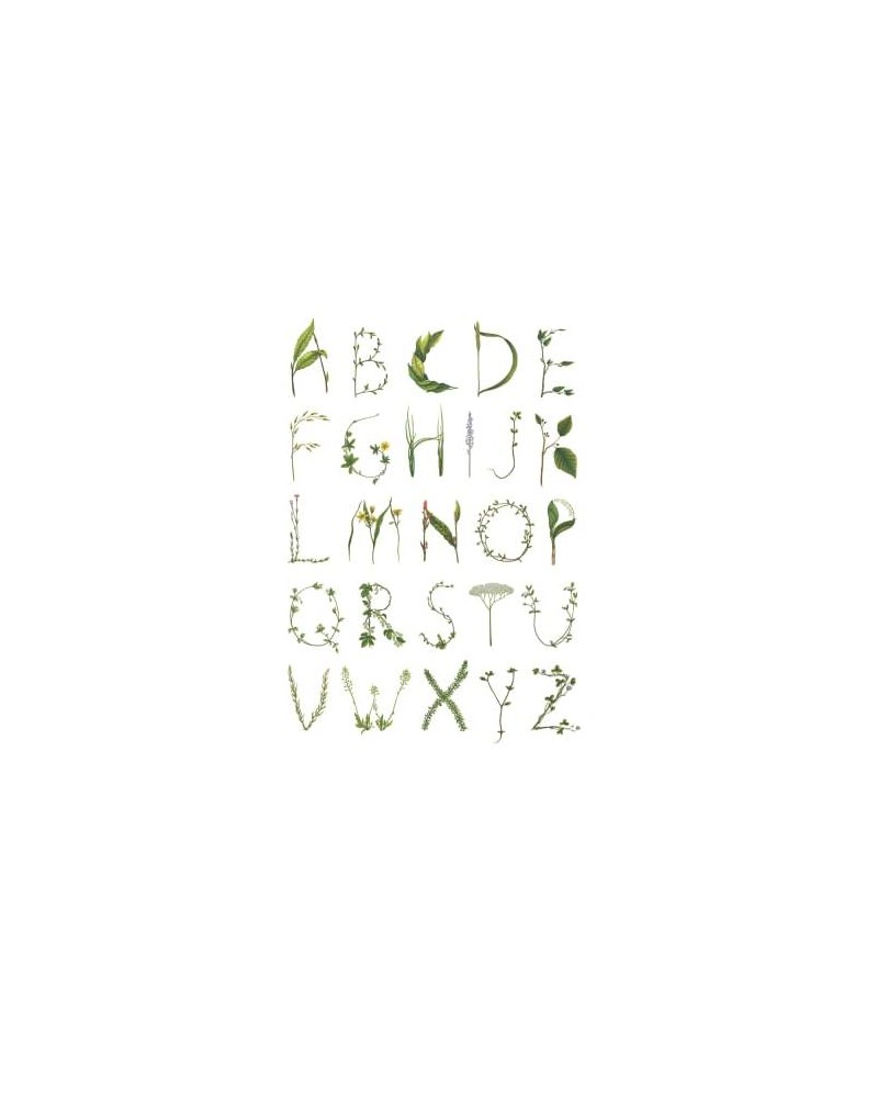 Papel Pintado R13191-4 ABC FOR THE SPELLING BEE - REBEL WALLS