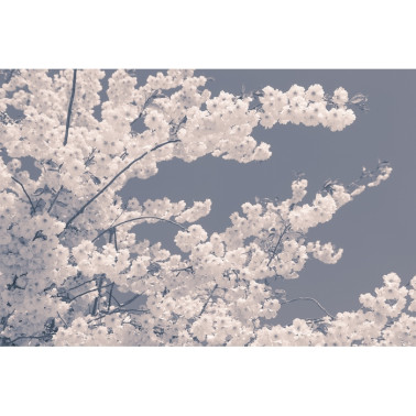 Papel Pintado R13001-8 BLOSSOM FOR THE BEES - REBEL WALLS