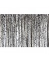 Papel Pintado R13031-8 BIRCH TRUNKS - REBEL WALLS