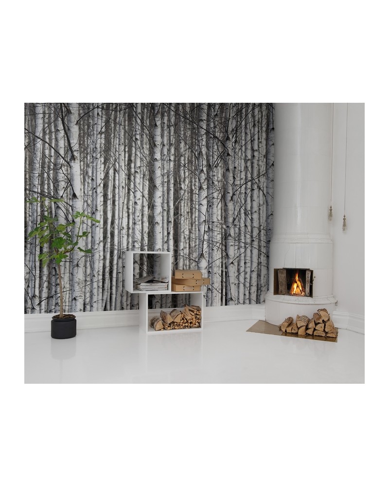 Papel Pintado R13031-8 BIRCH TRUNKS - REBEL WALLS