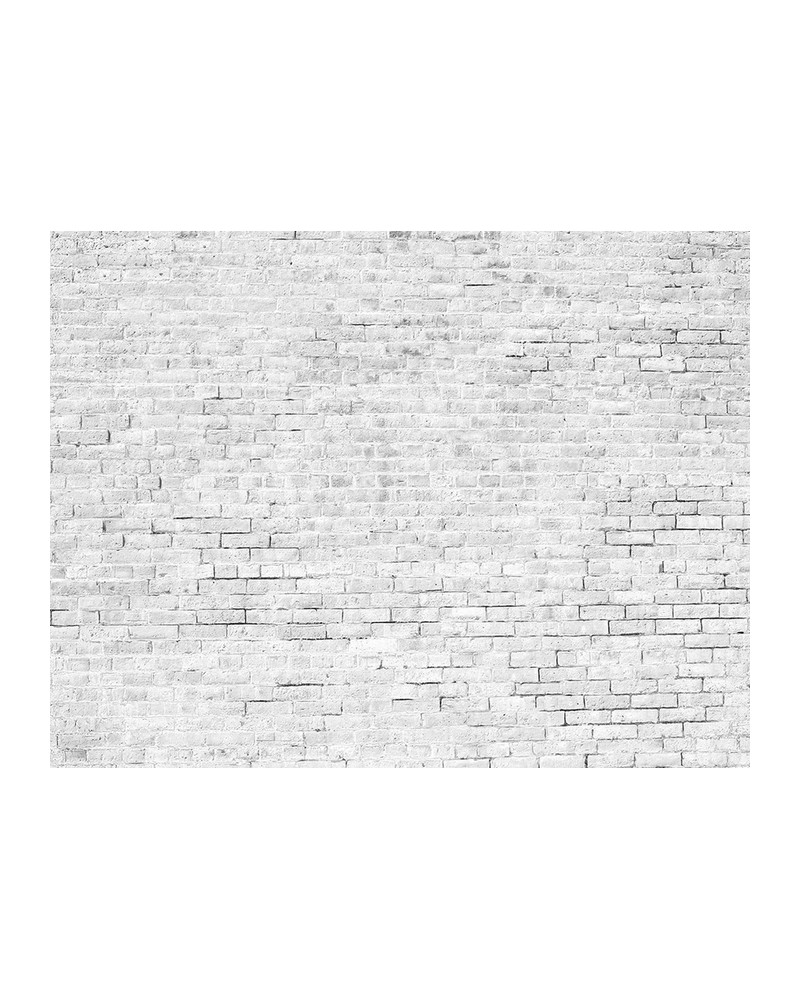 6800618 BRICKS WHITE