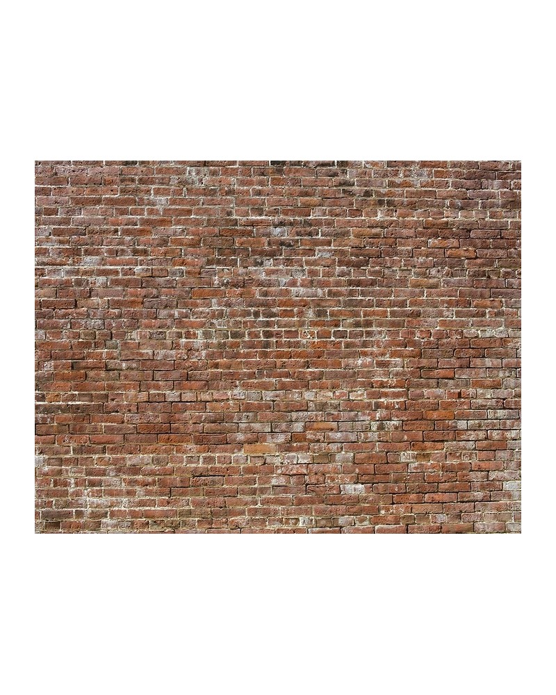 6800619 BRICKS BRICK