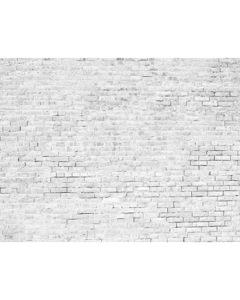 6800618 BRICKS WHITE