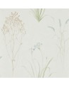 Papel Pintado FARNE GRASSES DEBB216486 - Sanderson