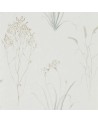 FARNE GRASSES DEBB216487