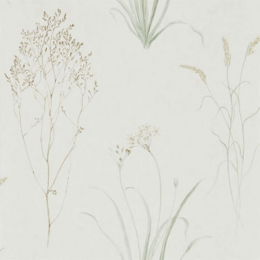 Papel Pintado FARNE GRASSES DEBB216488 - Sanderson