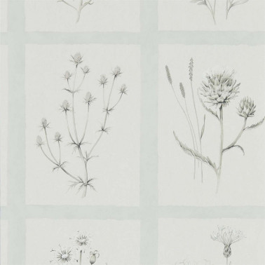 Papel Pintado LITTLE THISTLES DEBB216513 - Sanderson