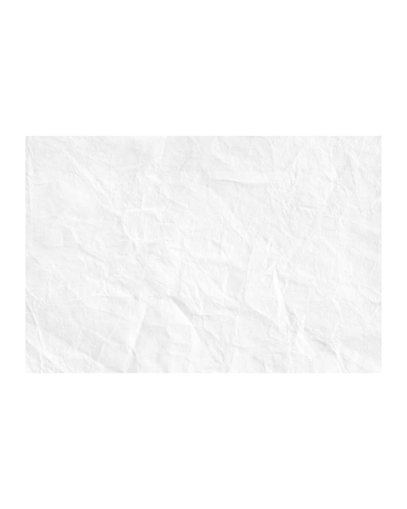 R11221 Pleated Paper