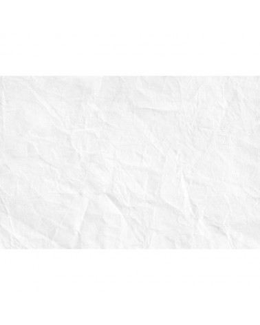 R11221 Pleated Paper