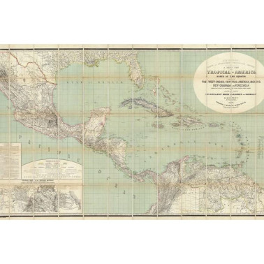 Papel Pintado R11381 Tropical America - REBEL WALLS