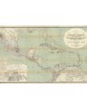 Papel Pintado R11381 Tropical America - REBEL WALLS