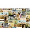 Papel Pintado R11561 Africa - REBEL WALLS
