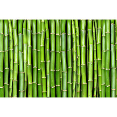 Papel Pintado R11821 Bamboo - REBEL WALLS