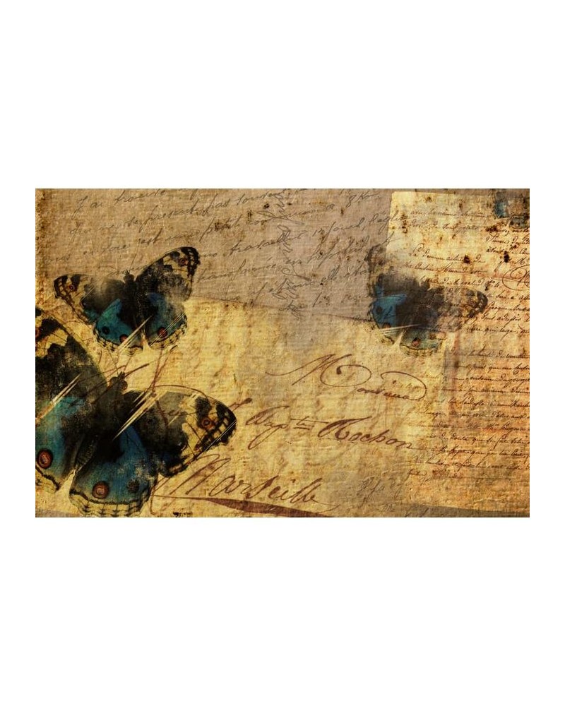 R12121 Butterfly Letter