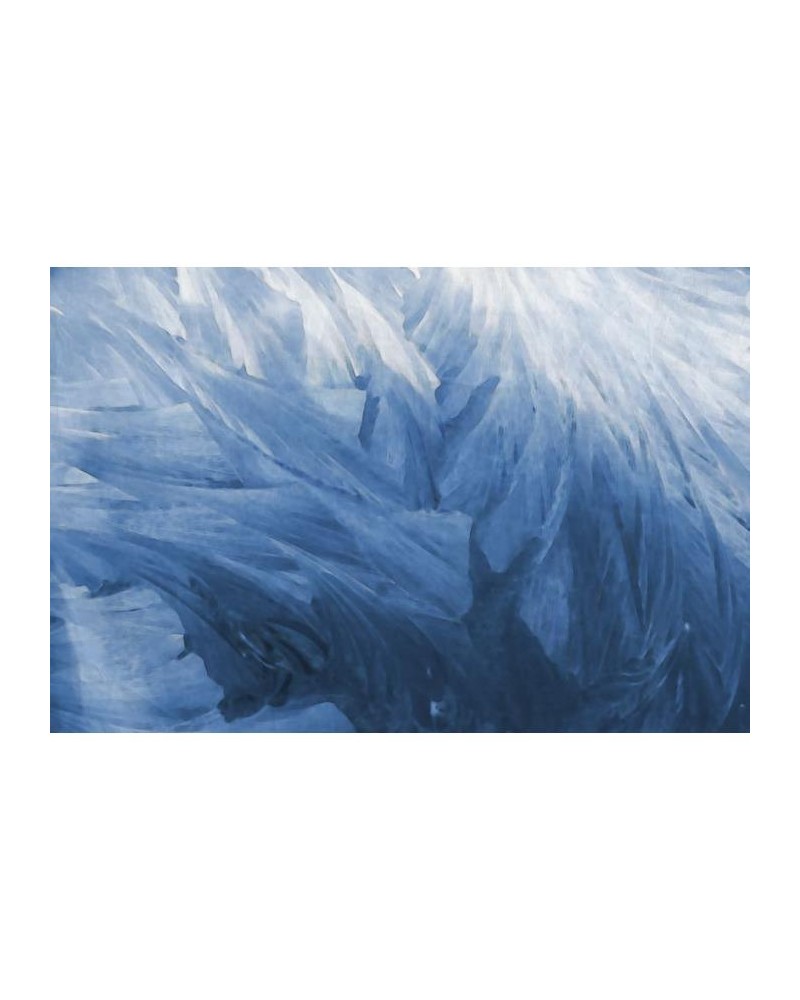 R12281 Feathers