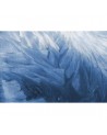 R12281 Feathers
