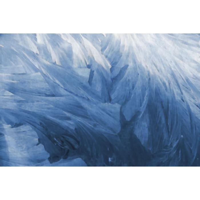 R12281 Feathers