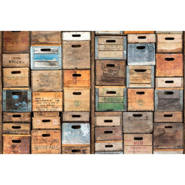 Papel Pintado R12901 Industriel Urban Farm L.A. - REBEL WALLS