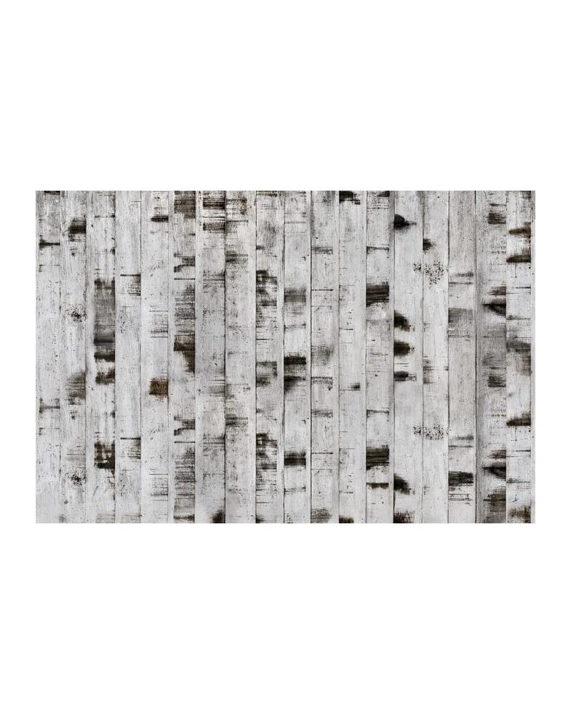 R15221 Metal Birch