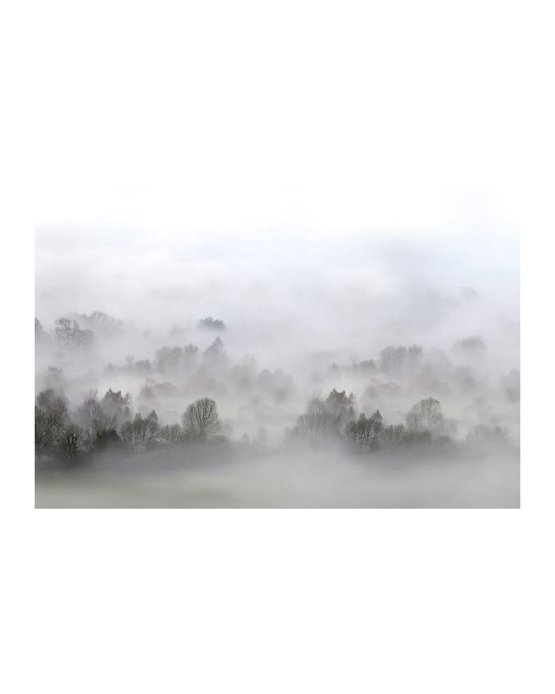R15301 Morning Fog