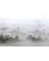 Papel Pintado R15301 Morning Fog - REBEL WALLS