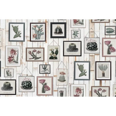 R15322 Cactus Wall Art, Faded