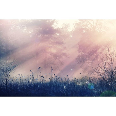 Papel Pintado R15361 Pink Dawn - REBEL WALLS