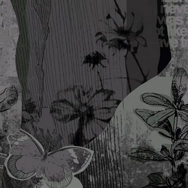 Papel Pintado ORCHIDALIA WDOR1602 - WALL AND DECO