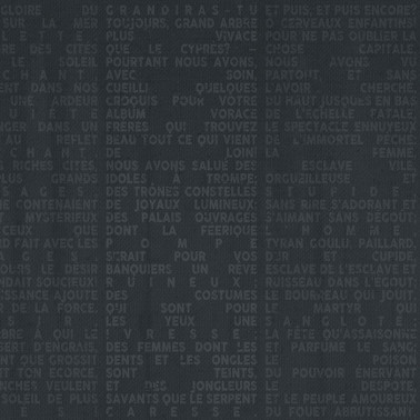 Papel Pintado VOYAGE WDVO1601-B - WALL AND DECO