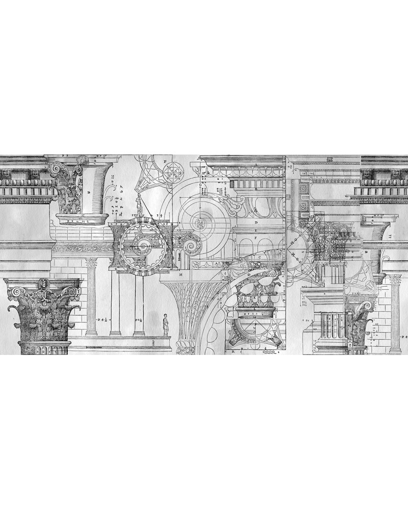 Papel Pintado ANTIQUA WDAN1601 - WALL AND DECO