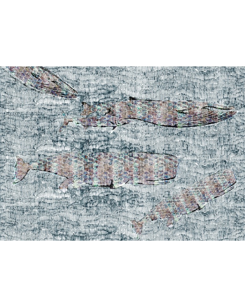 Papel Pintado LA VIE MARINE WDVM1601 - WALL AND DECO