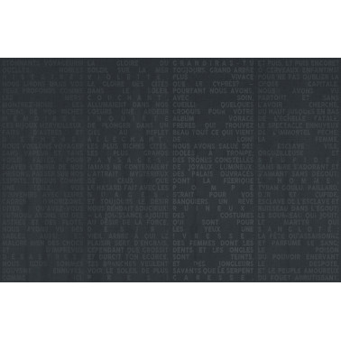 VOYAGE WDVO1601-B